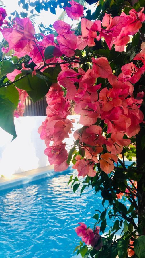 Villa North Coast Trou aux Biches Bagian luar foto